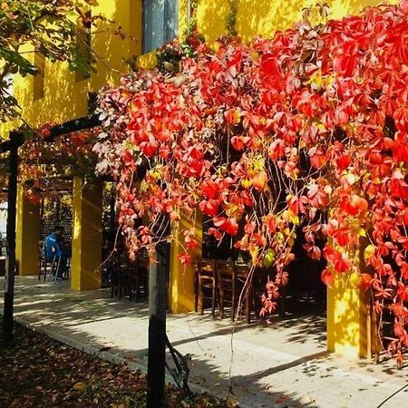 Cascina Bosco Gerolo Villa Rivergaro Bagian luar foto
