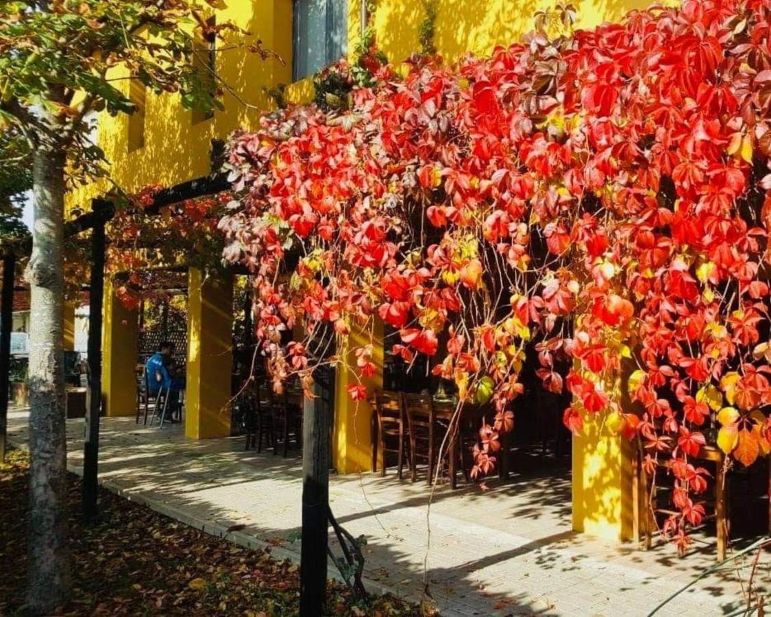 Cascina Bosco Gerolo Villa Rivergaro Bagian luar foto